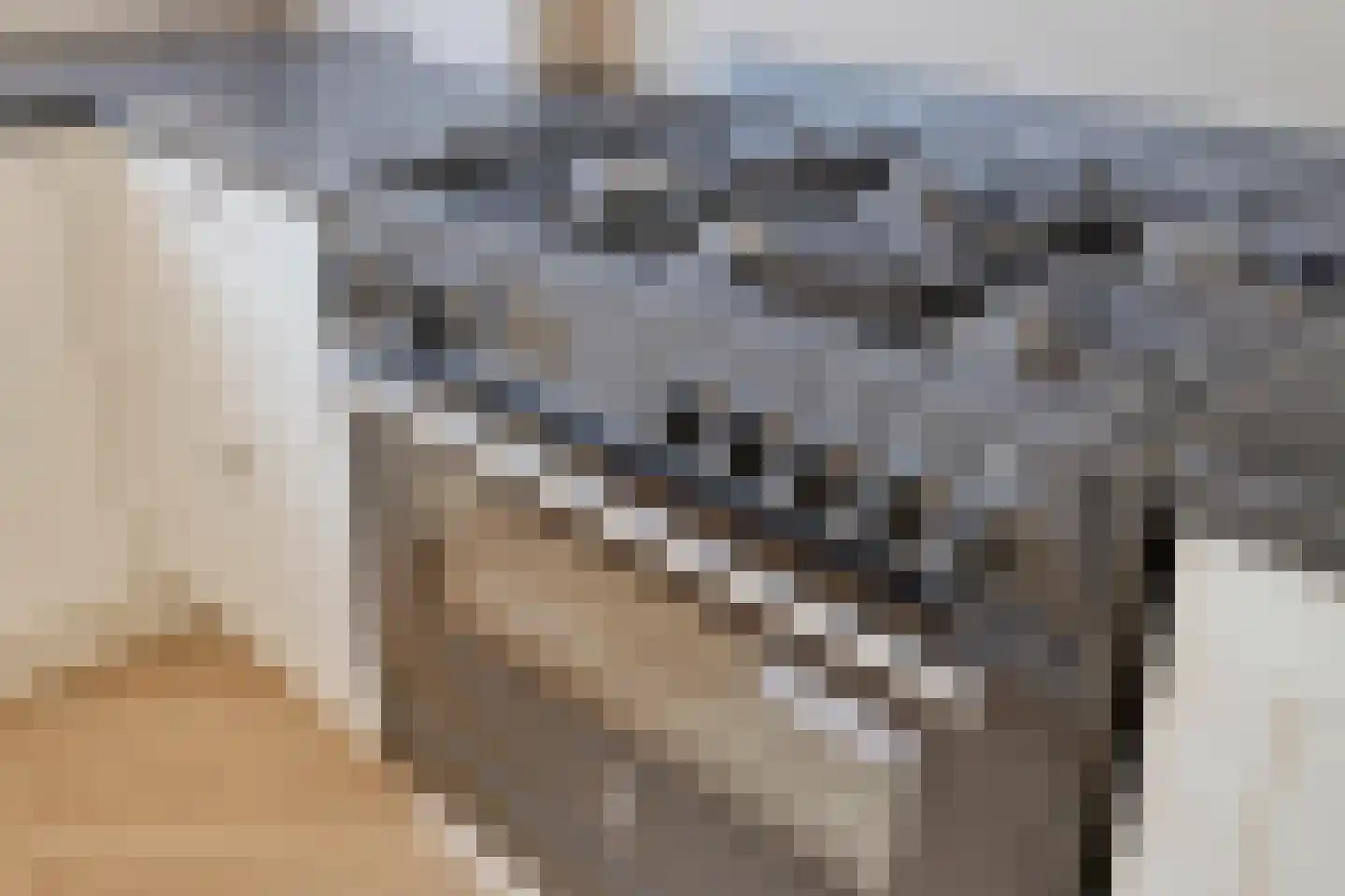 Vermeerstraat 6 Bleiswijk thumbnail 11