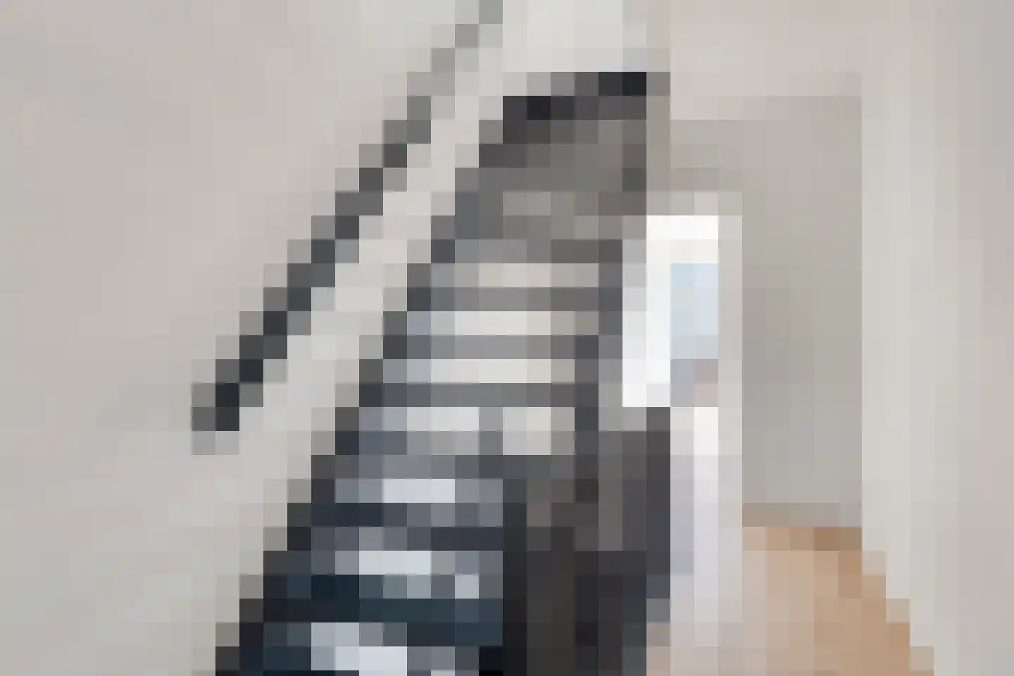 Vermeerstraat 6 Bleiswijk thumbnail 14