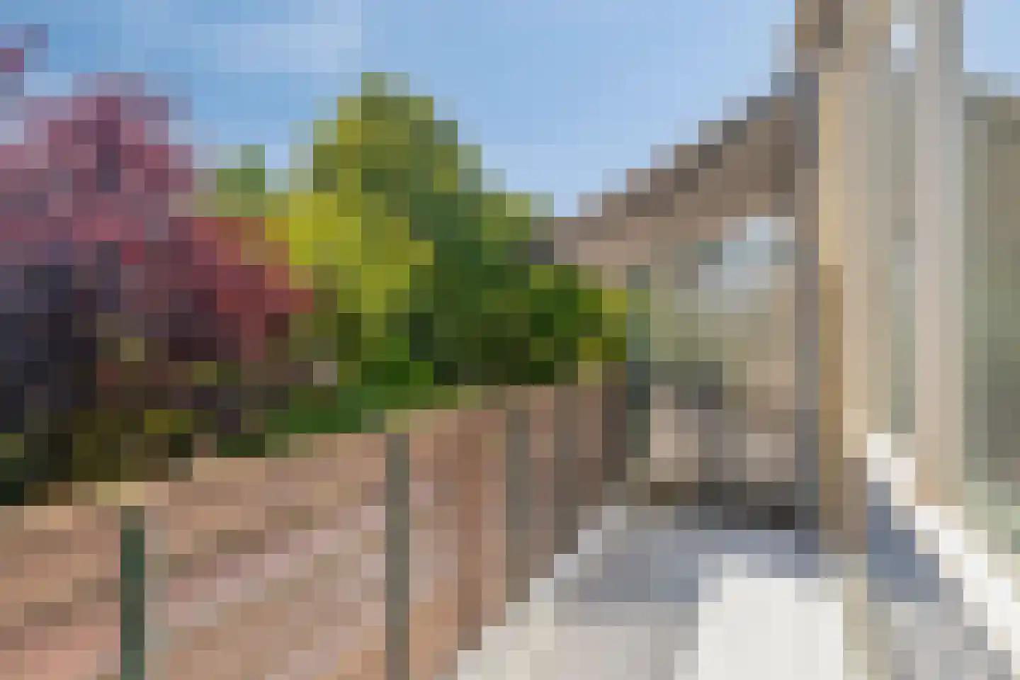 Vermeerstraat 6 Bleiswijk thumbnail 17