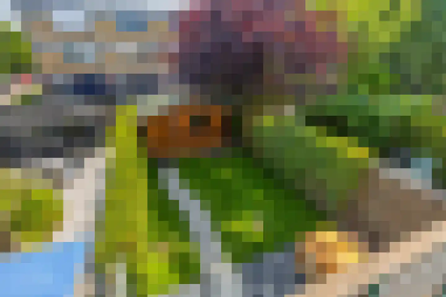 Vermeerstraat 6 Bleiswijk thumbnail 19