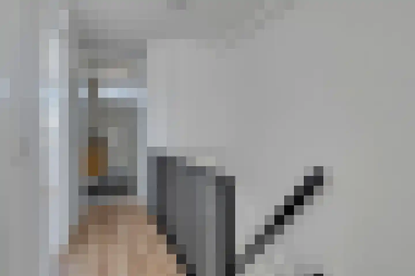Vermeerstraat 6 Bleiswijk thumbnail 25