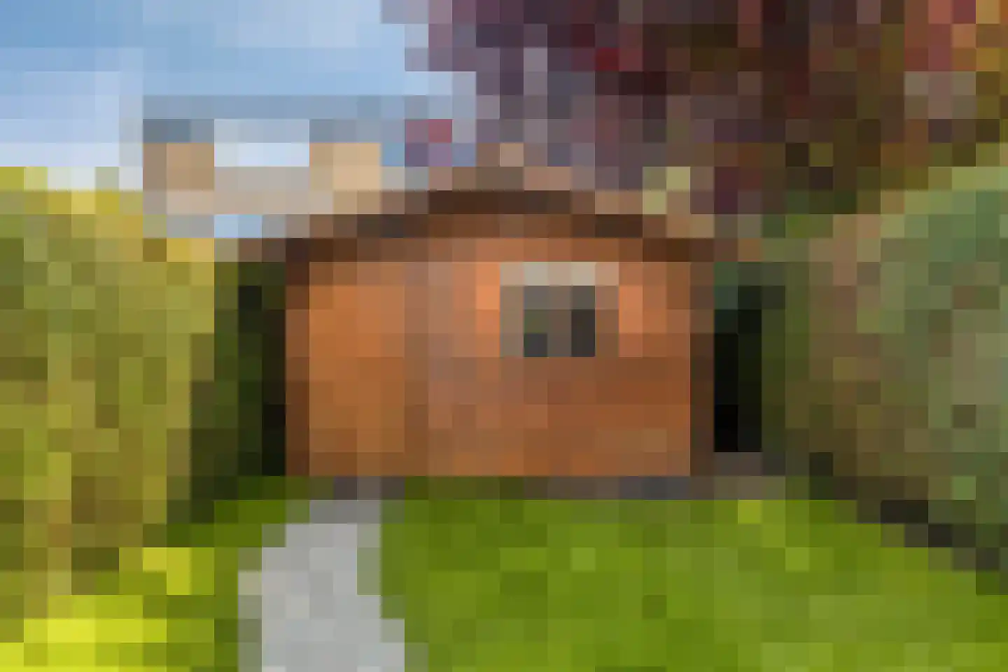 Vermeerstraat 6 Bleiswijk thumbnail 37