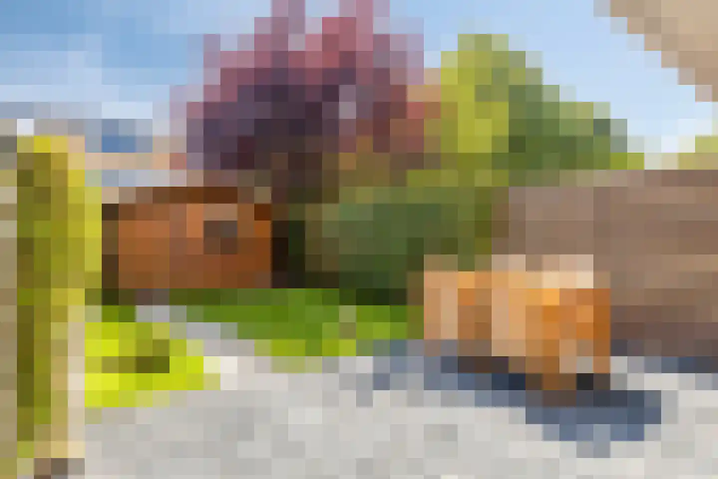 Vermeerstraat 6 Bleiswijk thumbnail 38