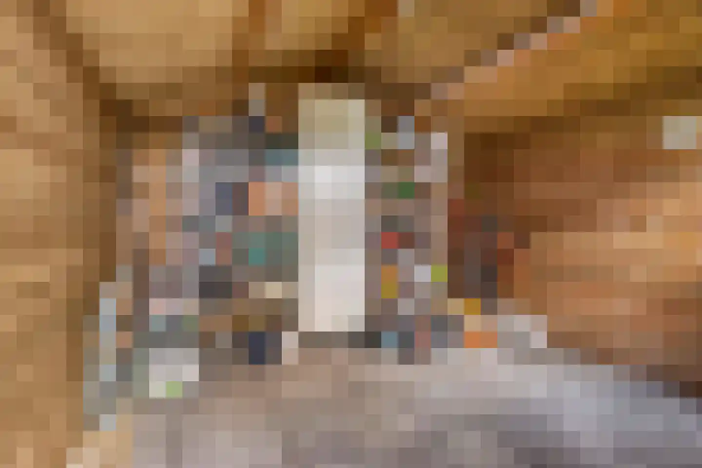 Vermeerstraat 6 Bleiswijk thumbnail 41