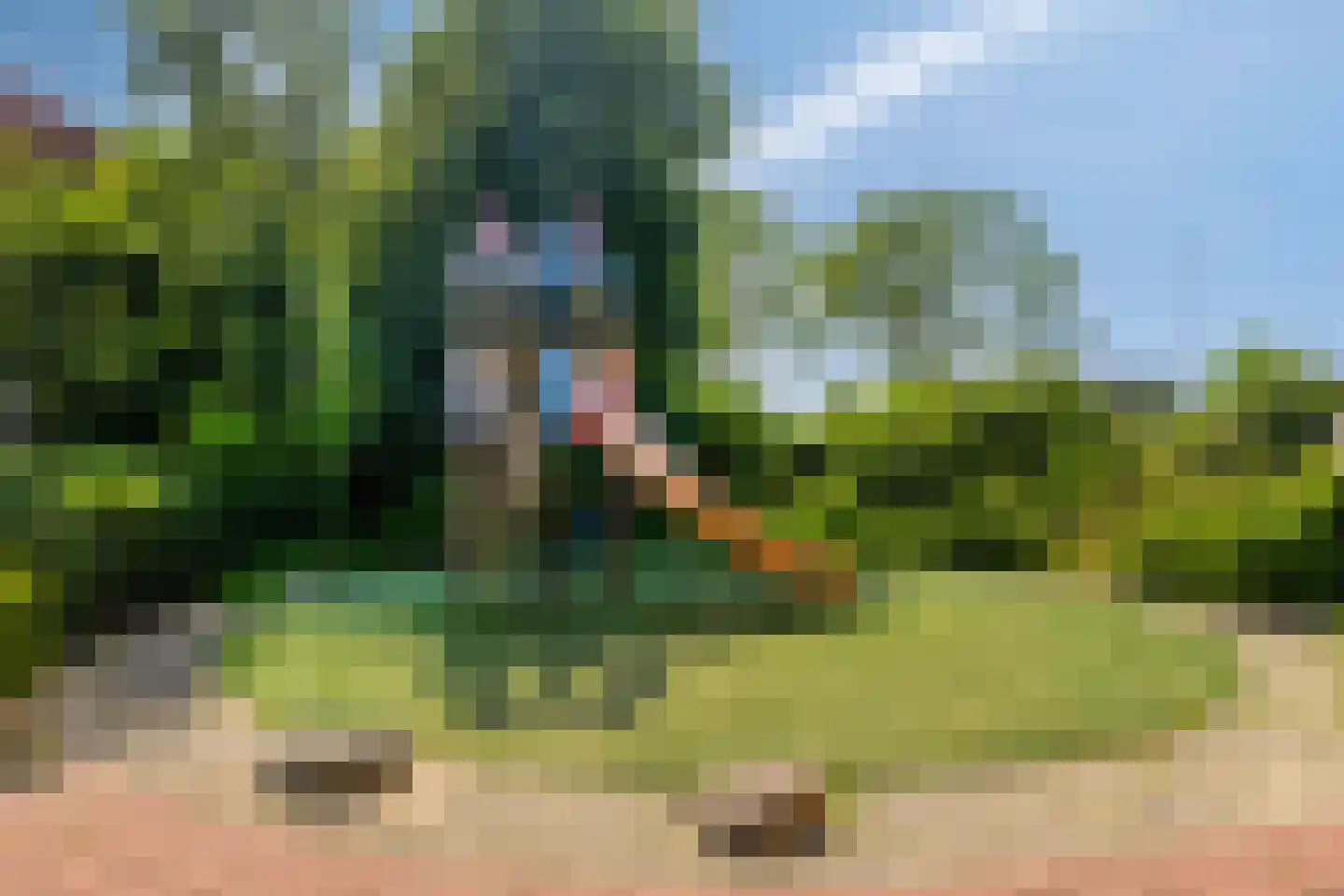 Vermeerstraat 6 Bleiswijk thumbnail 45