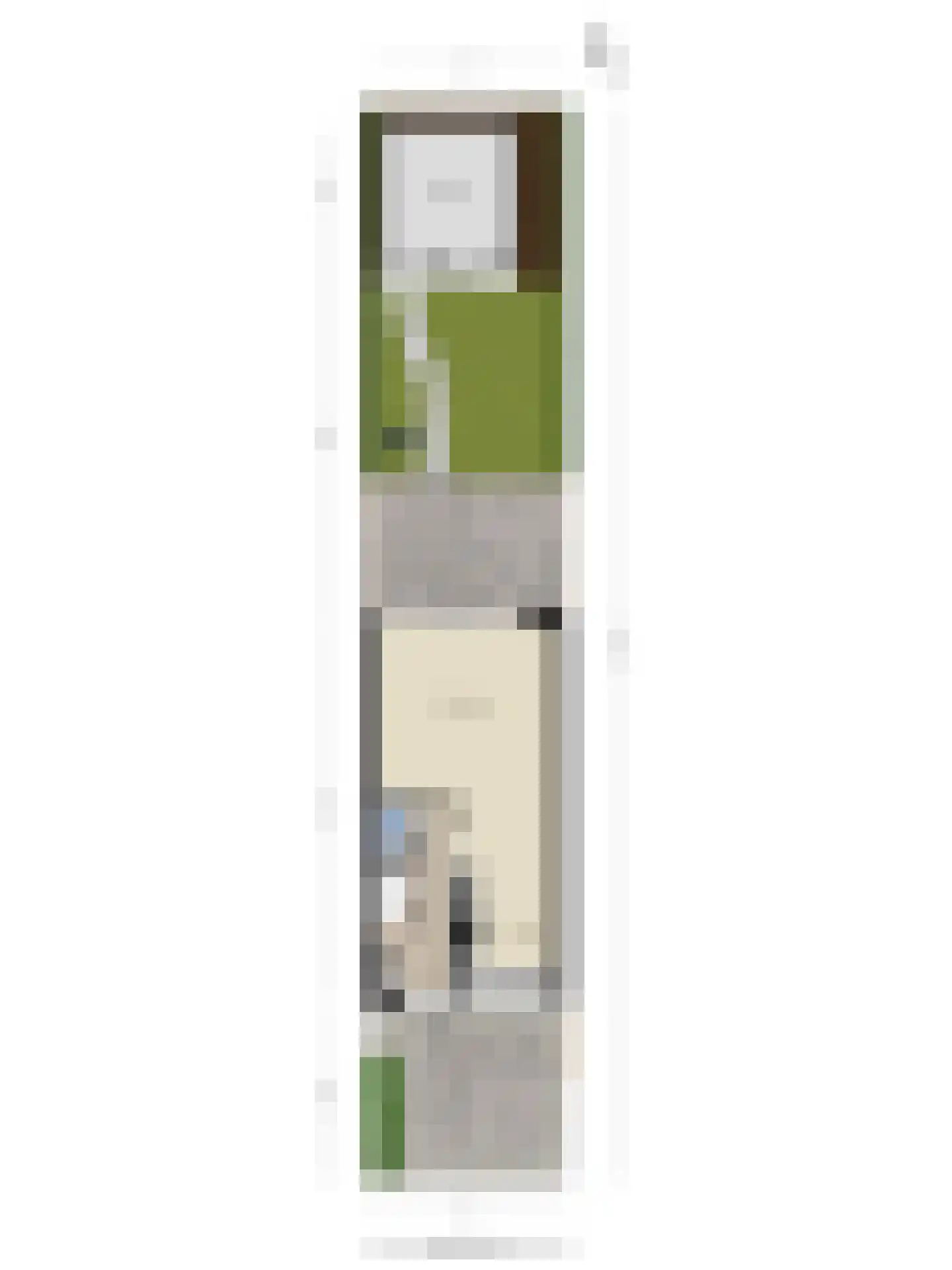 Vermeerstraat 6 Bleiswijk thumbnail 47