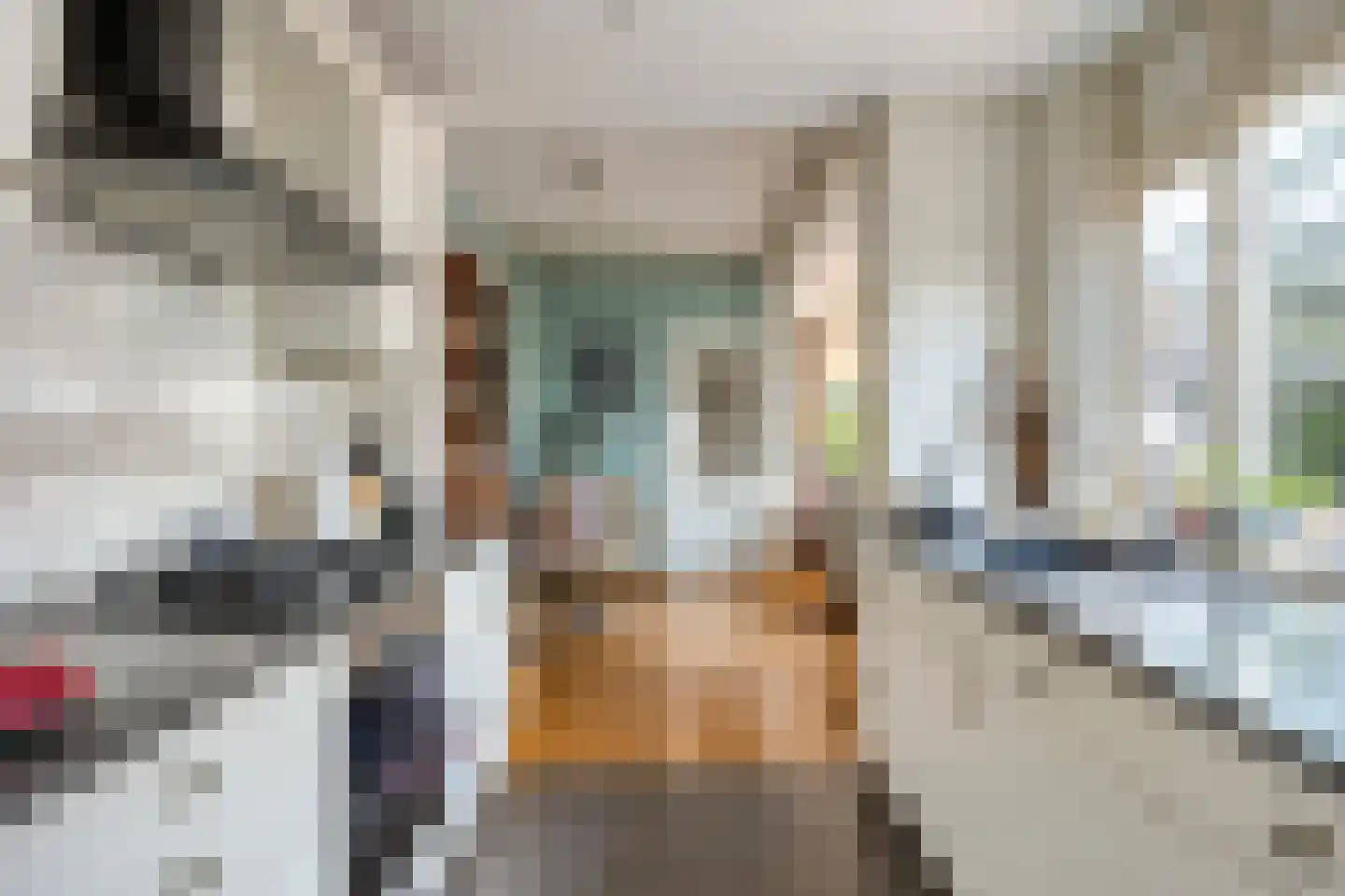 Vermeerstraat 6 Goor thumbnail 18