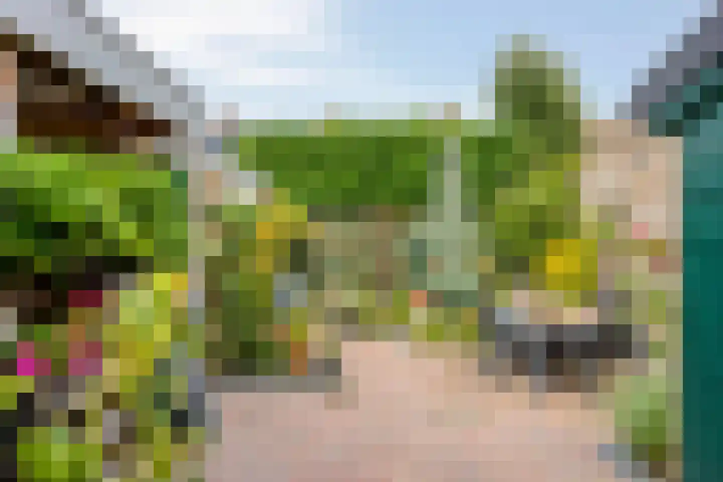 Vermeerstraat 6 Goor thumbnail 26