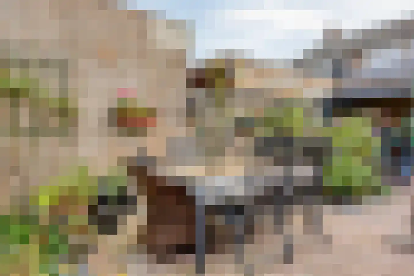 Vermeerstraat 6 Goor thumbnail 27