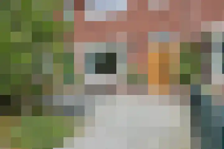 Vermeerstraat 6 Zaandam thumbnail 28
