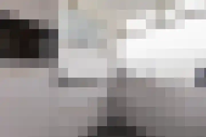 Vermeerstraat 65 Zoetermeer thumbnail 13