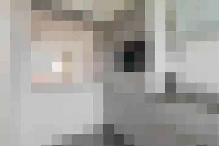 Vermeerstraat 65 Zoetermeer thumbnail 15