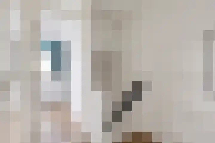 Vermeerstraat 65 Zoetermeer thumbnail 18