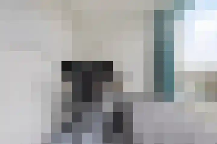 Vermeerstraat 65 Zoetermeer thumbnail 24