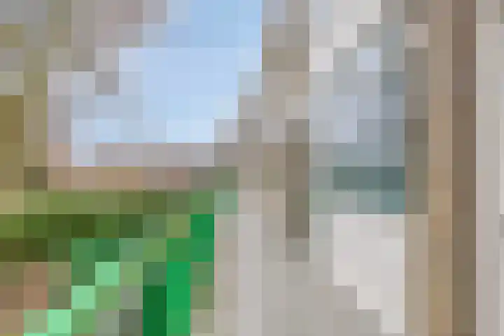 Vermeerstraat 65 Zoetermeer thumbnail 31