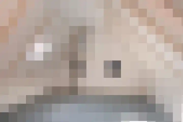 Vermeerstraat 65 Zoetermeer thumbnail 39