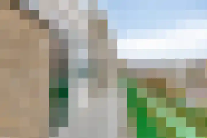 Vermeerstraat 65 Zoetermeer thumbnail 5