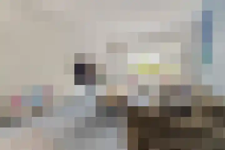 Vermeerstraat 7 Alkmaar thumbnail 10