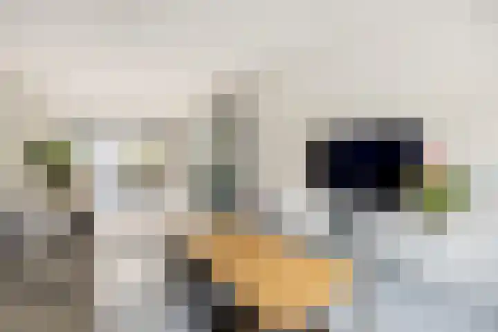 Vermeerstraat 7 Alkmaar thumbnail 12