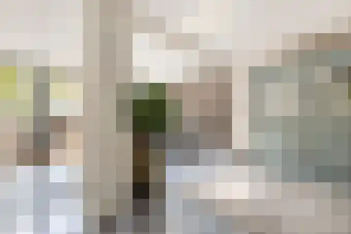 Vermeerstraat 7 Alkmaar thumbnail 14