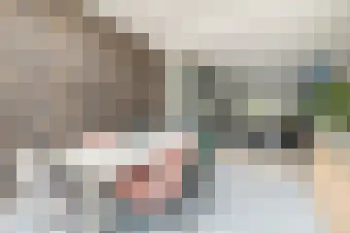 Vermeerstraat 7 Alkmaar thumbnail 16