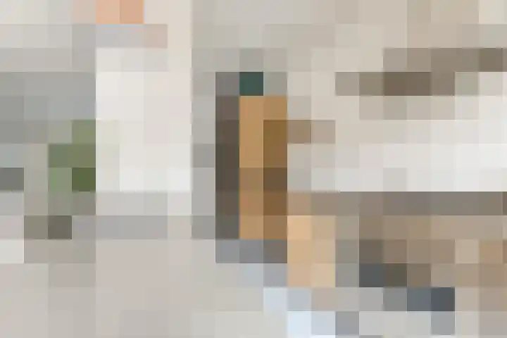 Vermeerstraat 7 Alkmaar thumbnail 18