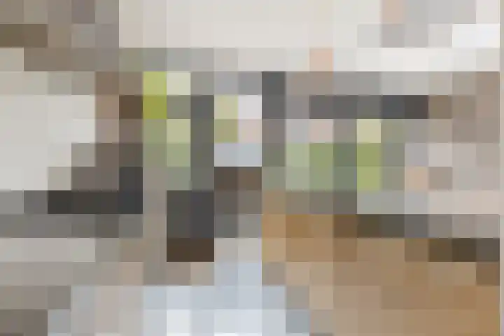 Vermeerstraat 7 Alkmaar thumbnail 19
