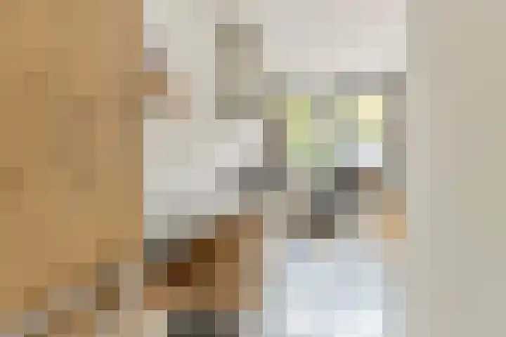 Vermeerstraat 7 Alkmaar thumbnail 20