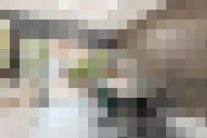 Vermeerstraat 7 Alkmaar thumbnail 22