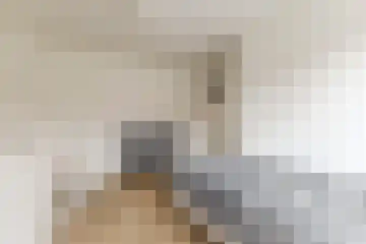 Vermeerstraat 7 Alkmaar thumbnail 30