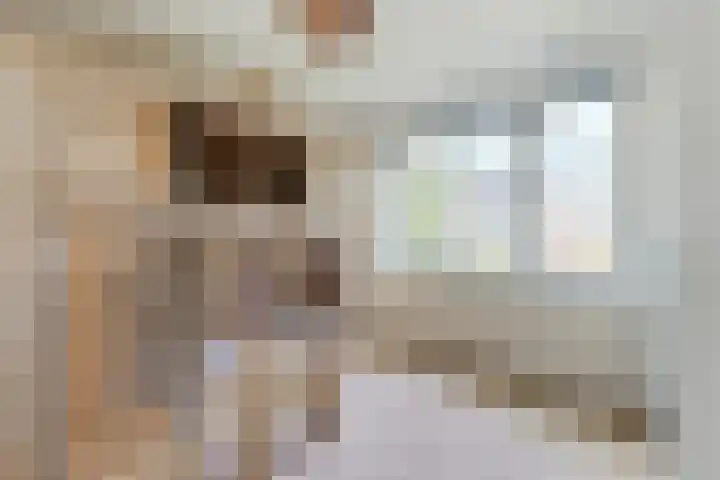 Vermeerstraat 7 Alkmaar thumbnail 31
