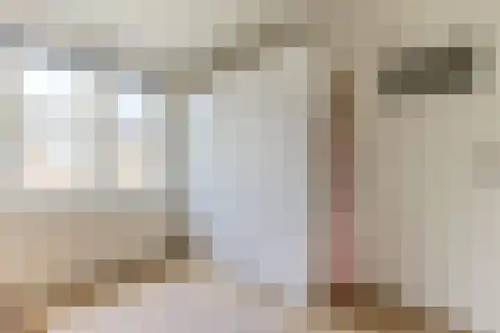 Vermeerstraat 7 Alkmaar thumbnail 32