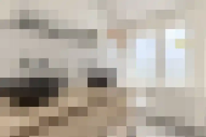 Vermeerstraat 7 Alkmaar thumbnail 34