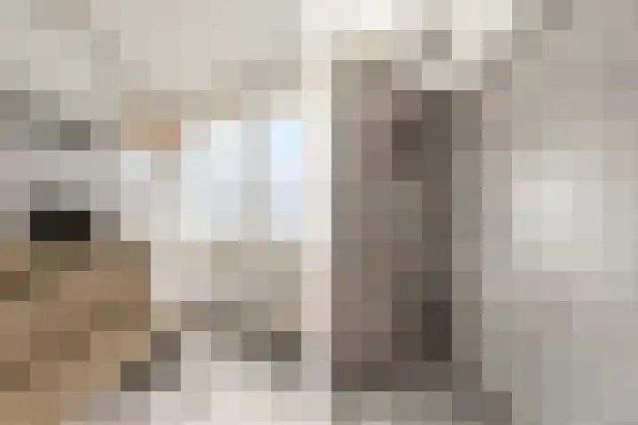 Vermeerstraat 7 Alkmaar thumbnail 37