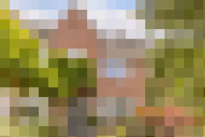 Vermeerstraat 7 Alkmaar thumbnail 4