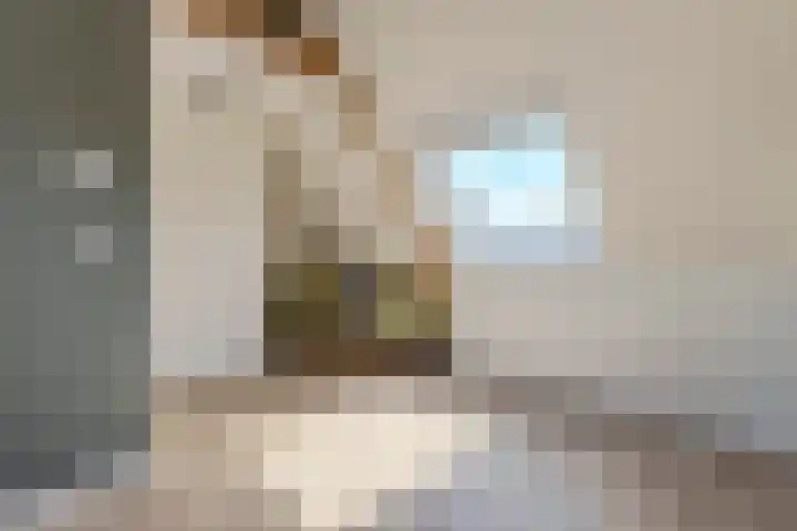 Vermeerstraat 7 Alkmaar thumbnail 42