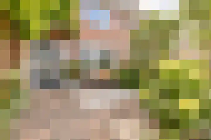 Vermeerstraat 7 Alkmaar thumbnail 5