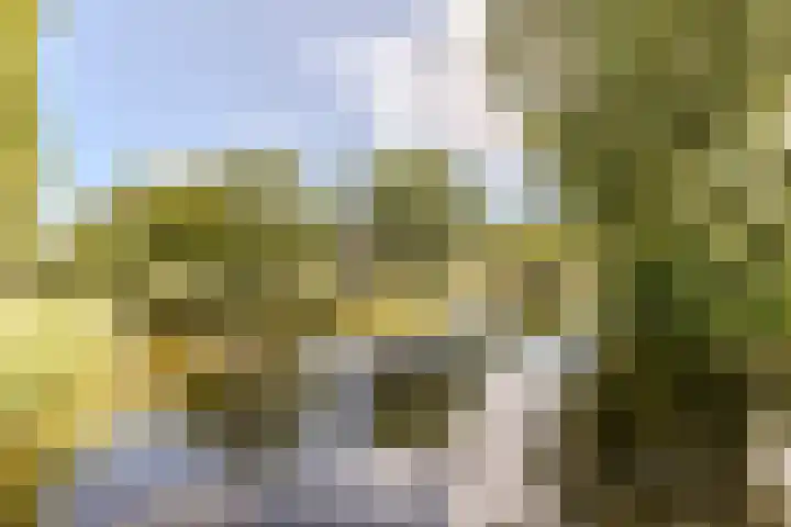 Vermeerstraat 7 Alkmaar thumbnail 52