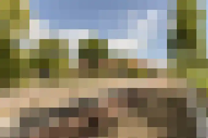 Vermeerstraat 7 Alkmaar thumbnail 53