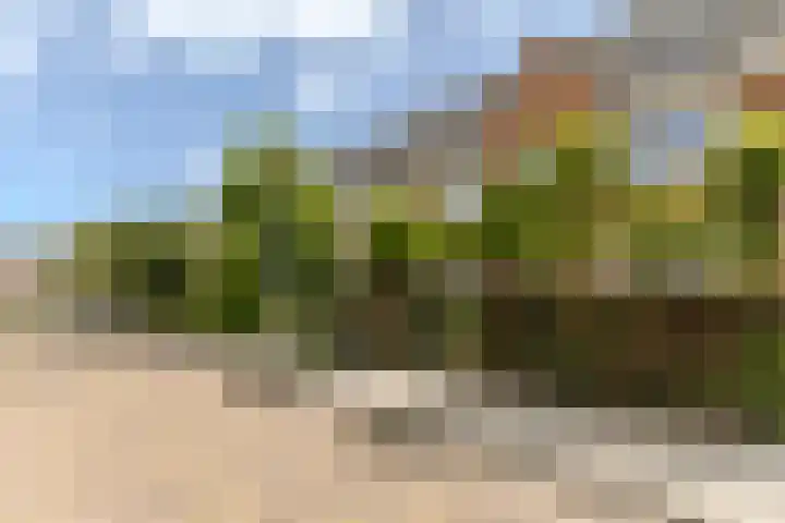 Vermeerstraat 7 Alkmaar thumbnail 57