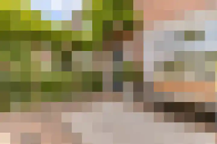 Vermeerstraat 7 Alkmaar thumbnail 6