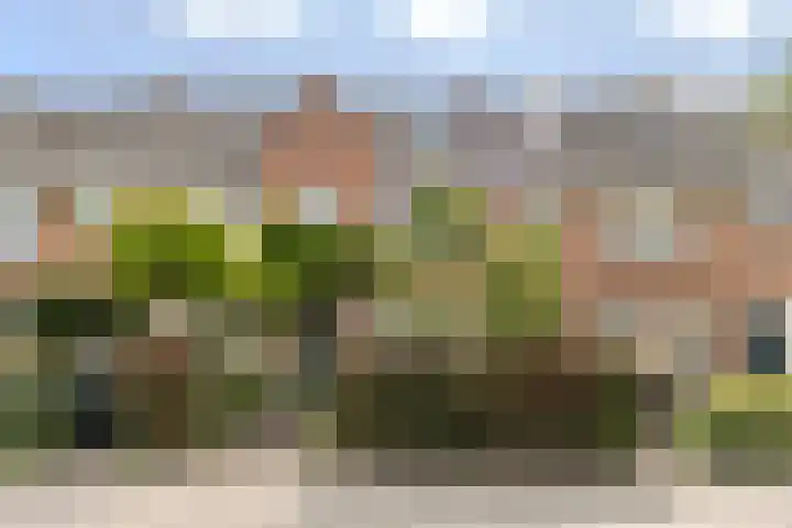 Vermeerstraat 7 Alkmaar thumbnail 62