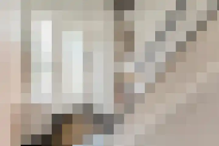 Vermeerstraat 7 Alkmaar thumbnail 8