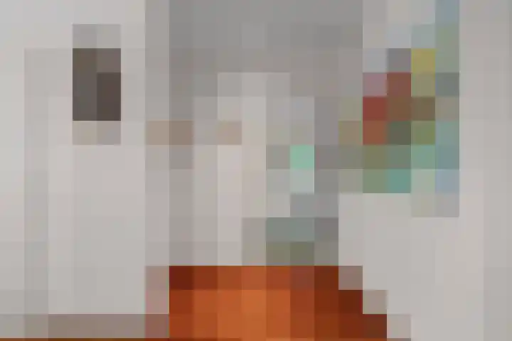 Vermeerstraat 8 Anna Paulowna thumbnail 18