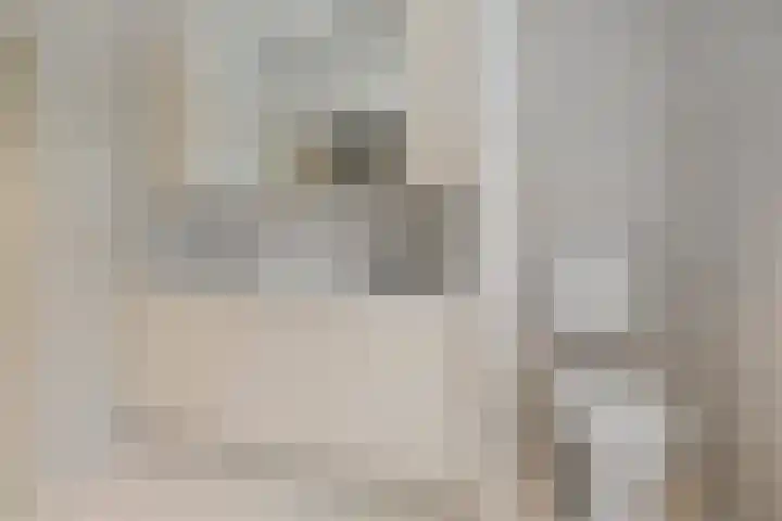 Vermeerstraat 8 Anna Paulowna thumbnail 23