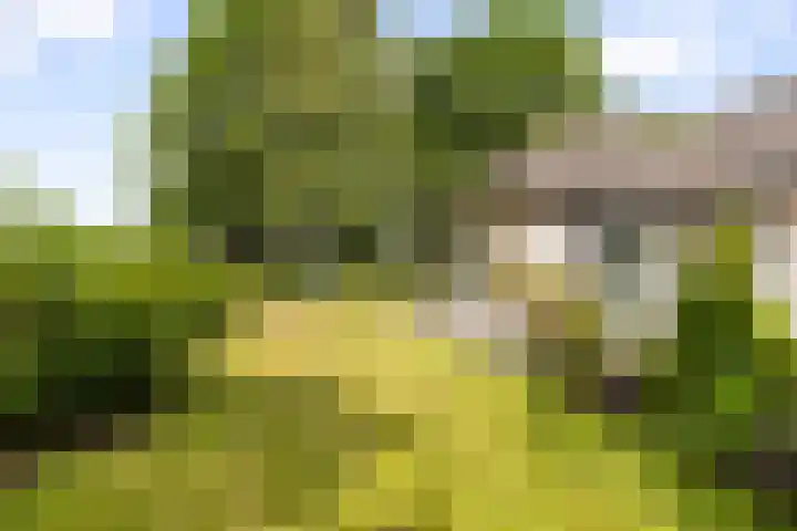Vermeerstraat 8 Anna Paulowna thumbnail 37
