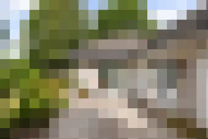 Vermeerstraat 8 Anna Paulowna thumbnail 38