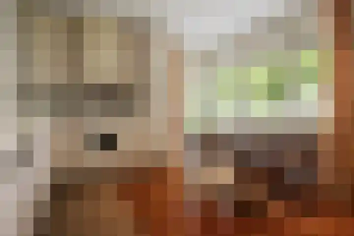 Vermeerstraat 8 Anna Paulowna thumbnail 4