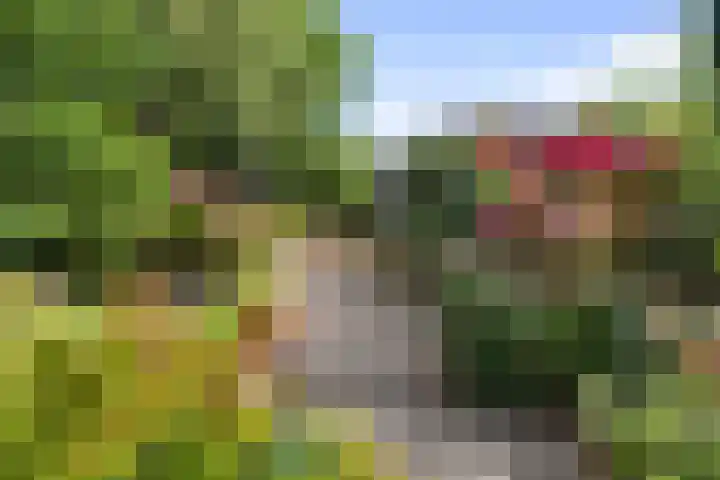 Vermeerstraat 8 Anna Paulowna thumbnail 40
