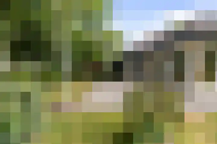 Vermeerstraat 8 Anna Paulowna thumbnail 41
